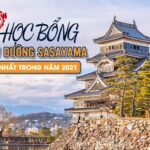 [HOT NEW] HỌC BỔNG ĐIỀU DƯỠNG SASAYAMA “SIÊU HẤP DẪN” TRONG 2021