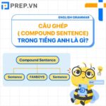Câu ghép trong tiếng Anh là gì? Cấu trúc, ví dụ & bài tập chi tiết