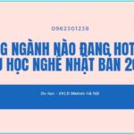 Những ngành nào đang hot khi đi du học nghề Nhật Bản 2021