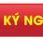 Khóa Học TOEIC, Lộ trình khóa học tại Anh ngữ Ms Hoa