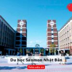 Du học Senmon Nhật Bản: Điều kiện, lộ trình chi tiết