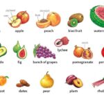 150+ từ vựng trái cây tiếng Anh theo chủ đề THÔNG DỤNG