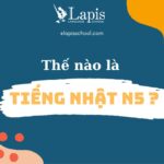 TẤT TẦN TẬT MỌI THỨ VỀ TIẾNG NHẬT N5 BẠN CẦN BIẾT?