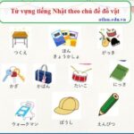 Tổng hợp bộ từ vựng Tiếng Nhật qua hình ảnh [PDF]