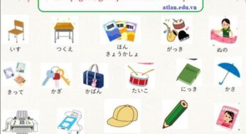 Tổng hợp bộ từ vựng Tiếng Nhật qua hình ảnh [PDF]