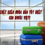 Đi xuất khẩu nước nào tốt nhất cho người Việt?