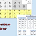 Nên học tiếng Anh hay tiếng Nhật: lựa chọn nào SÁNG SUỐT hơn?