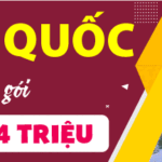 2023 RỒI! Người Việt nên học tiếng Hàn hay tiếng Nhật?