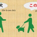 【JLPT N5 Bài 2】Giải thích ngữ pháp và hội thoại tiếng Nhật