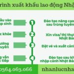 Quy trình 9 bước đi xuất khẩu lao động Nhật Bản 2021