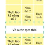 Thực tập sinh kỹ năng Nhật Bản là gì – Điều kiện tham gia thực tập sinh kỹ năng
