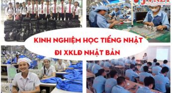 Kinh nghiệm học tiếng Nhật khi đi xuất khẩu lao động Nhật Bản