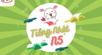 Trình độ tiếng Nhật N5 là gì? Kiến thức & Lộ trình học N5 tiếng Nhật