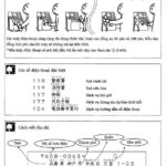 Từ vựng tiếng Nhật bài 4 trong giáo trình Minna no Nihongo