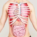 Tổng hợp các từ vựng tiếng Anh chủ đề cơ thể người