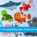 210+ Từ vựng tiếng Anh về các con vật
