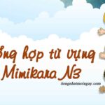 TỔNG HỢP TỪ VỰNG MIMIKARA N3