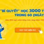 Tổng hợp trọn bộ từ vựng tiếng Anh chuyên ngành theo các lĩnh vực