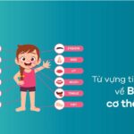 Từ vựng tiếng Anh về bộ phận cơ thể người