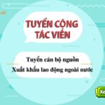 Tuyển cán bộ tuyển sinh và CTV xuất khẩu lao động và du học