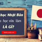 Du học Nhật Bản vừa học vừa làm là gì? Bản chất chương trình