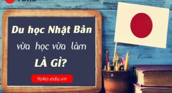 Du học Nhật Bản vừa học vừa làm là gì? Bản chất chương trình