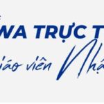 TOP 10 trang web học tiếng Nhật miễn phí tốt nhất hiện nay
