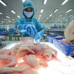 Xuất khẩu sang Bỉ: Cơ hội rộng mở