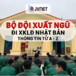 Tổng hợp từ A-Z thông tin bộ đội xuất ngũ đi XKLĐ Nhật Bản