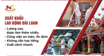 Đi XKLĐ Đài Loan 2023 và 9 điều nhất định phải biết (Mới)