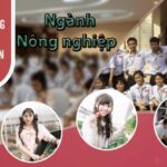 Top 10 đơn hàng nông nghiệp Nhật Bản lương cao nhất tháng 10/2023