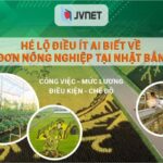 HÉ LỘ điều ít ai biết về đơn hàng NÔNG NGHIỆP Nhật Bản