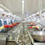 Phụ nữ có nên đi xuất khẩu lao động Nhật Bản