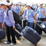 "Việt Nam chưa đưa lao động chính thức vào làm việc ở Anh Quốc"