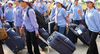"Việt Nam chưa đưa lao động chính thức vào làm việc ở Anh Quốc"