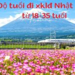 MỚI NHẤT: 「10 Điều Kiện Đi Xuất Khẩu Nhật Bản Cần Lưu Ý」 Năm 2023