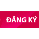 Trọn bộ kiến thức tiếng Anh tiểu học [Bài giảng, Từ vựng, Ngữ pháp]