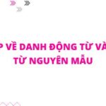 Tổng hợp đầy đủ bài tập ngữ pháp TOEIC trọng điểm ôn thi nước rút