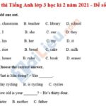 Đề thi Tiếng Anh lớp 3 kì 2 năm 2021 - Đề số 3 (Có đáp án)
