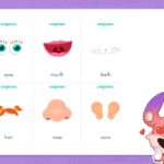 Thuộc lòng dễ dàng 100+ từ vựng, thành ngữ hữu ích về các bộ phận cơ thể người bằng tiếng Anh&nbsp;