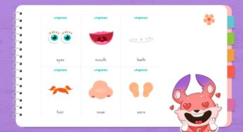 Thuộc lòng dễ dàng 100+ từ vựng, thành ngữ hữu ích về các bộ phận cơ thể người bằng tiếng Anh 