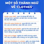 Bảng Từ  Vựng Tiếng Anh Cho Người Mới Bắt Đầu