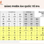 Tự học tiếng Anh cho người mới bắt đầu nhanh và hiệu quả