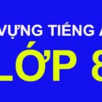 Từ vựng tiếng Anh lớp 8