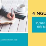 Nguyên tắc tự học tiếng anh giao tiếp hàng ngày thành thạo