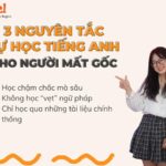 [A-Z] Hướng dẫn cách học từ vựng tiếng Anh cho người mất gốc tại nhà