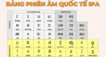 [Clip] Cách đọc bảng phiên âm IPA tiếng Anh chuẩn Anh – Mỹ