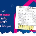 Cuộc thi IOE tiếng Anh: đề thi mẫu & bí quyết ôn luyện hiệu quả