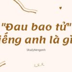 "Đau Bao Tử" trong Tiếng Anh là gì: Định Nghĩa, Ví Dụ Anh Việt