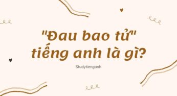 "Đau Bao Tử" trong Tiếng Anh là gì: Định Nghĩa, Ví Dụ Anh Việt